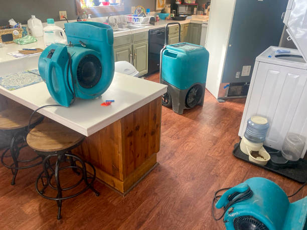 Best Ceiling water damage repair  in Collinsville, CT