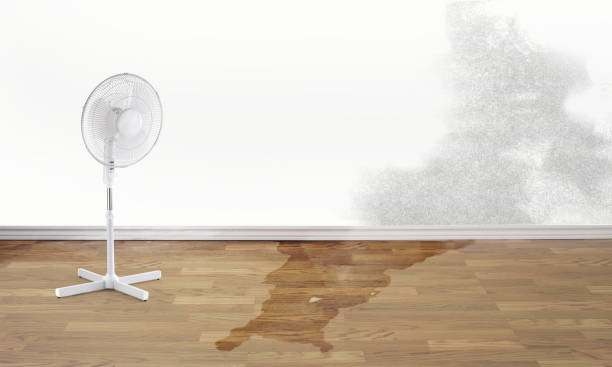 Best Flood restoration services  in Collinsville, CT