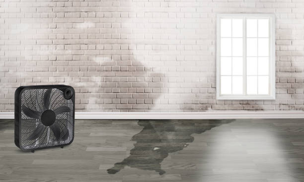 Water damage restoration insurance claims in Collinsville, CT