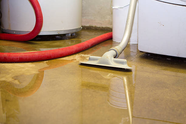 Best Water damage restoration insurance claims  in Collinsville, CT