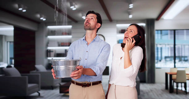 Best Residential water damage restoration  in Collinsville, CT
