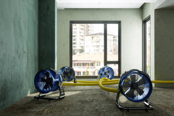 Trusted Collinsville, CT Water damage restoration Experts